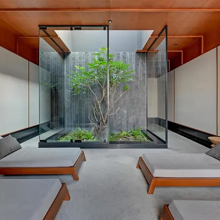 Apartment Comfort Botanika